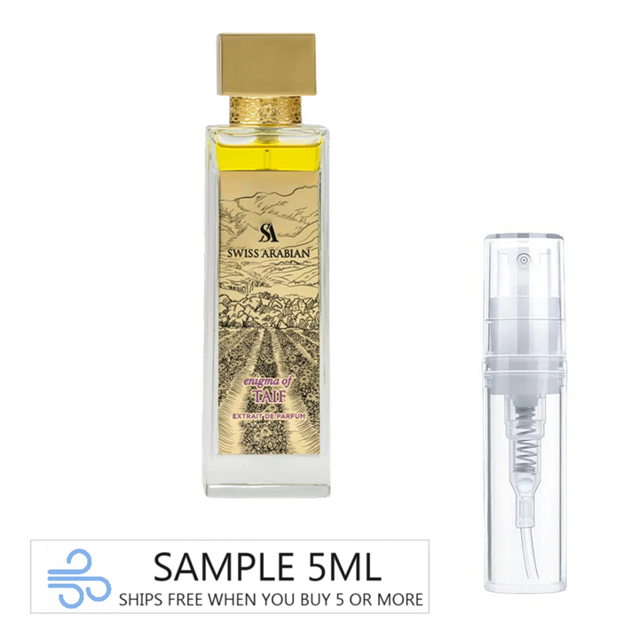 Enigma of Taif Extrait